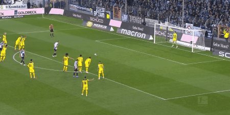 1635002960852057186.gif dsc dor 6.gif