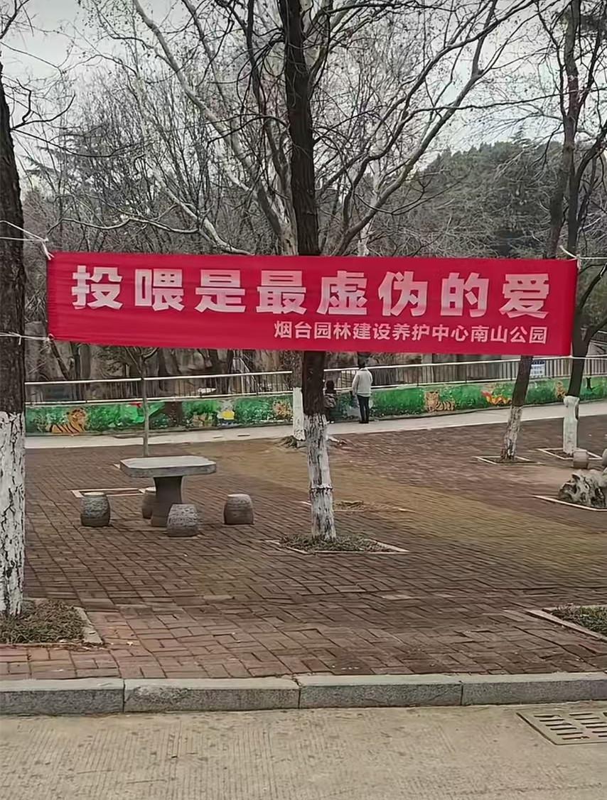 开云-“投喂是最虚伪的爱！”烟台一动物园标语被指豪横，园方回应“卖投喂食品强制爱”质疑